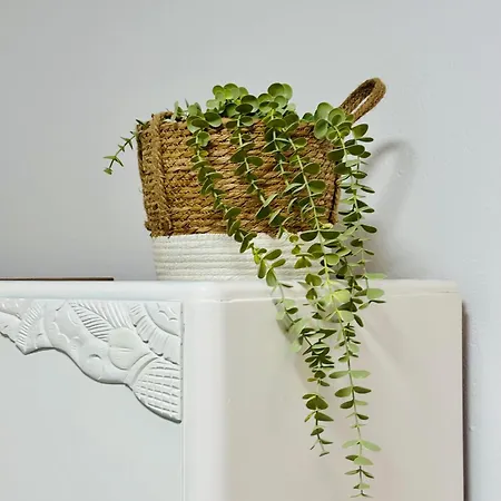 Danae's Cycladic House * Alikí